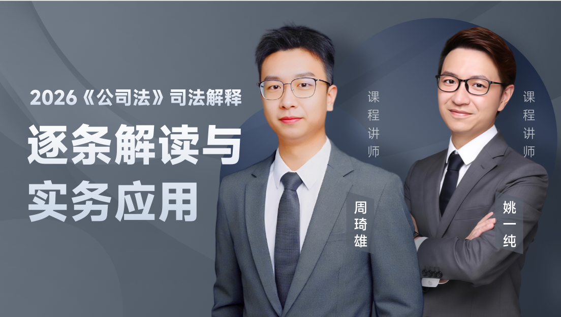 新公司法司法解释  逐条剖析与实务应用